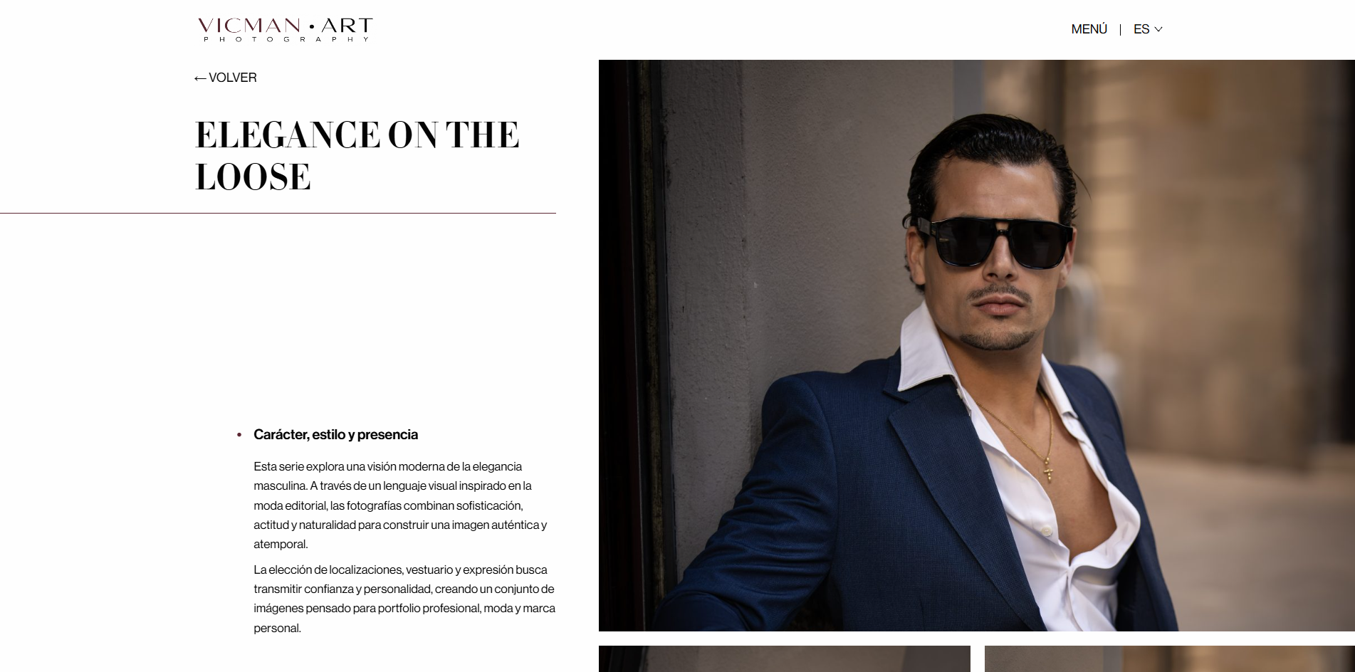 Ficha de un proyecto en Vicmanart